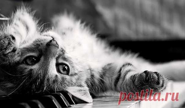 Фотографии на стене сообщества | 11 092 фотографии | ВКонтакте