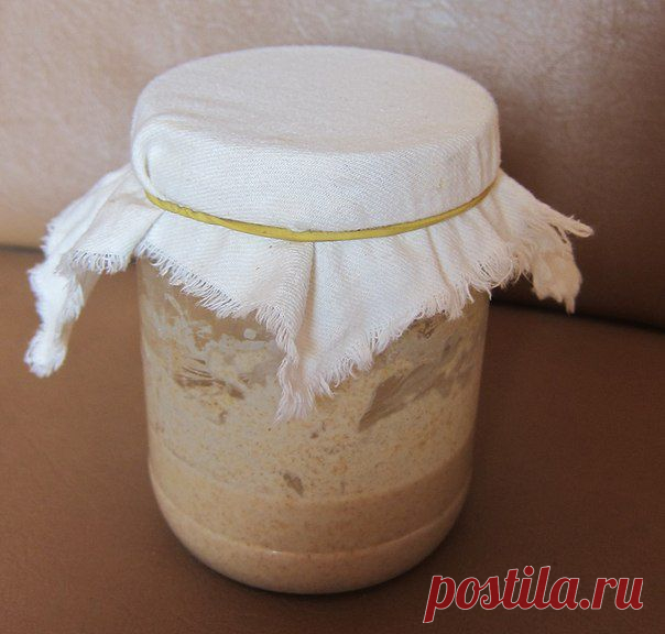 Рецепты заквасок (альтернатива покупным дрожжам) | Мамам, женщинам, бабушкам и очень любознательным.