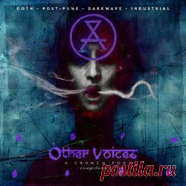 VA - Other Voices: A Crunch Pod Compilation (2025) 320kbps / FLAC
