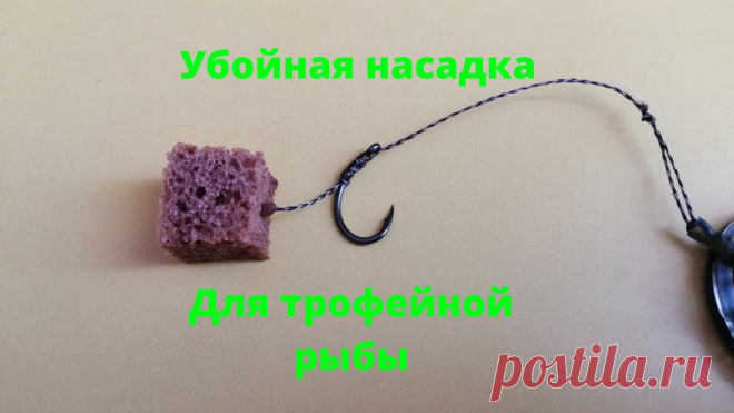 Убойная насадка для ловли трофейной и крупной рыбы из бородинского хлеба | Мега Рыбак Пульс Mail.ru Уловистая и простая насадка из бородинского хлеба на которую клюет крупная рыба. Размер трофея можете регулировать сами. Эту насадку для рыбалки можно использовать в любое время года, хоть на...
