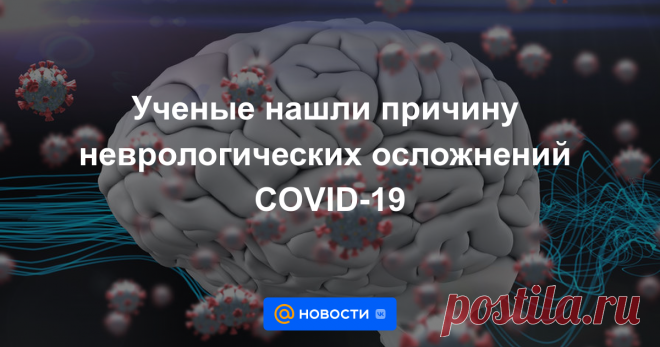 Ученые нашли причину неврологических осложнений COVID-19 Неврологические осложнения при COVID-19 могут возникать из-за гибели сосудов мозга, выяснила международная команда исследователей. SARS-CoV-2 оказался способен проникать во внутренний слой сосудов и разрушать клетки. Наблюдения за животными, впрочем,...