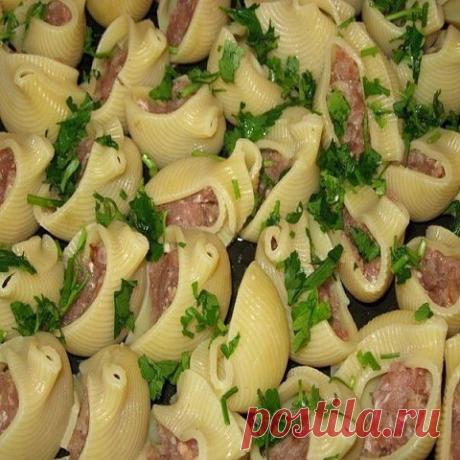 Ракушки с фаршем с соусом бешамель / Вкусные привычки