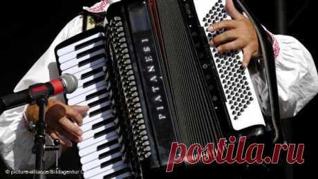 Музыкальные шедевры. Аккордеон | Хвастунишка