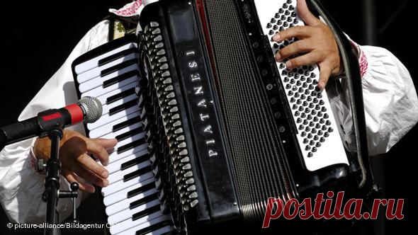 Музыкальные шедевры. Аккордеон | Хвастунишка