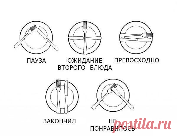 Не перепутай!

#интересно_знать@bon