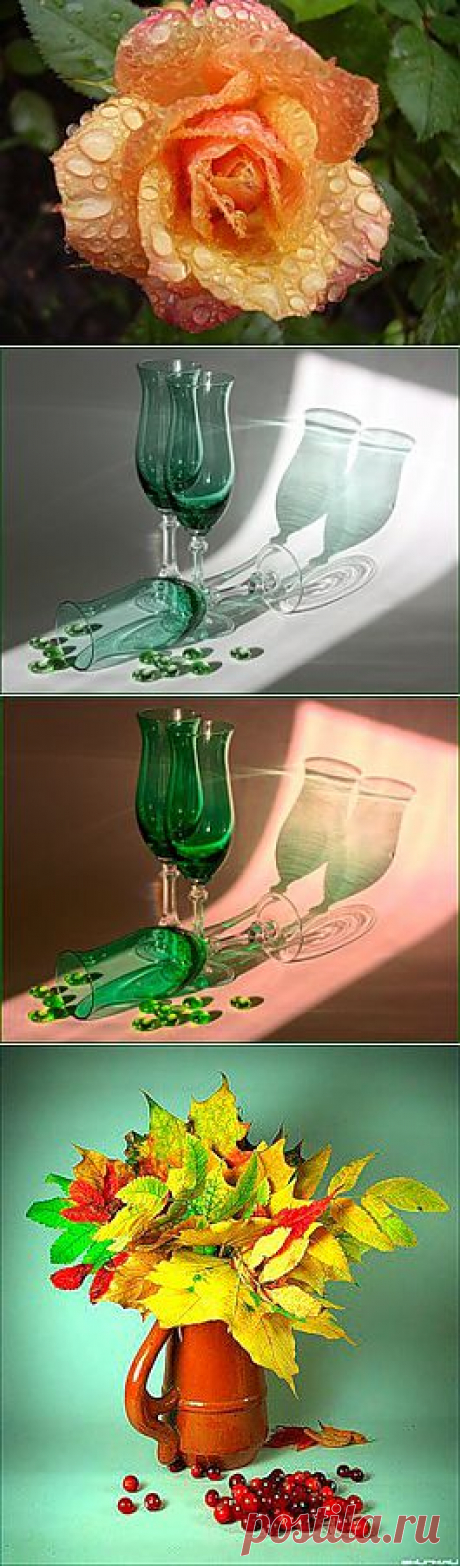 Урок как перенести цветовую палитру.... - 30 Ноября 2010 - DiZona - все для дизайна