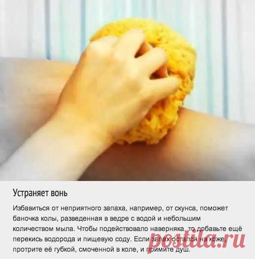 Самые неожиданные применения колы | Хитрости Жизни