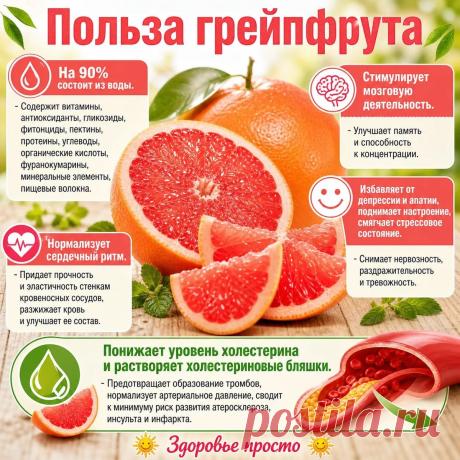 Польза грейпфрута