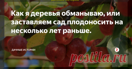 Как я деревья обманываю, или заставляем сад плодоносить на несколько лет раньше.