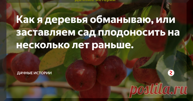 Как я деревья обманываю, или заставляем сад плодоносить на несколько лет раньше.