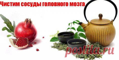 Как почистить сосуды головного мозга? | Советы Народной Мудрости