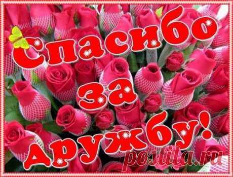 (11) Одноклассники