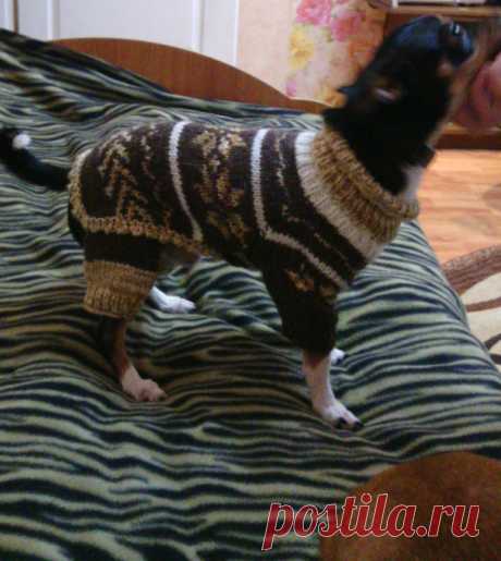 похвастушки