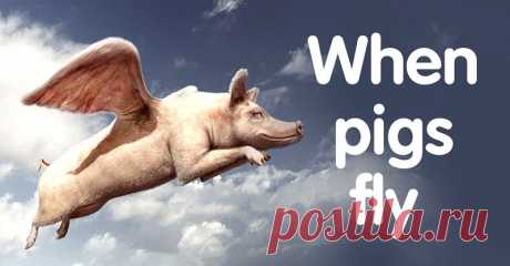 Английские идиомы