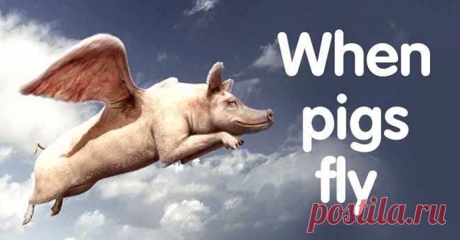 Английские идиомы