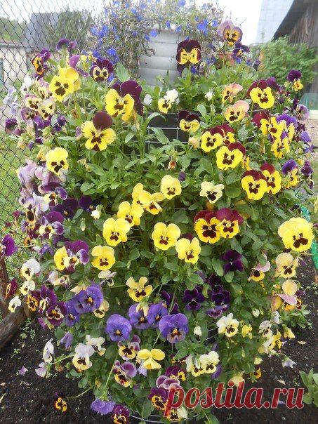 Календарь садовода