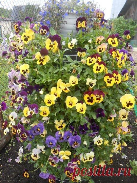 Календарь садовода