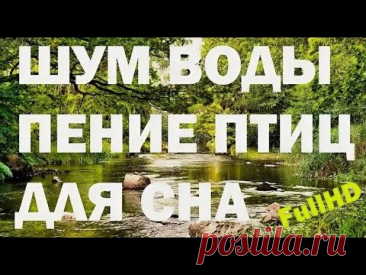 #сон #звук #лес
Погрузитесь в естественную атмосферу уюта и покоя. Шум воды в ручье и живое пение птиц создают идеальный фон для сна, расслабления, йоги или концентрации. Это видео с натуральными звуками природы поможет восстановить внутренний баланс, снять стресс и настроиться на гармоничный лад. Фоновый шум природы помогает сосредоточиться во время работы, глубже медитировать и легче засыпать.
Записано в парке среди деревьев и ручья — без музыки, без слов, только чистые звуки природы.