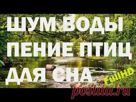 #сон #звук #лес
Погрузитесь в естественную атмосферу уюта и покоя. Шум воды в ручье и живое пение птиц создают идеальный фон для сна, расслабления, йоги или концентрации. Это видео с натуральными звуками природы поможет восстановить внутренний баланс, снять стресс и настроиться на гармоничный лад. Фоновый шум природы помогает сосредоточиться во время работы, глубже медитировать и легче засыпать.
Записано в парке среди деревьев и ручья — без музыки, без слов, только чистые звуки природы.