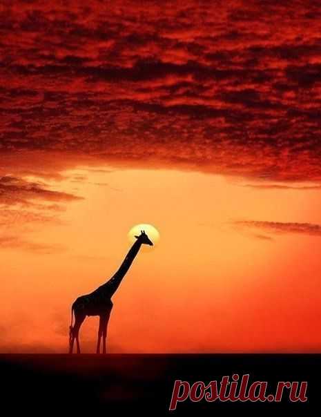 потрясающе?)