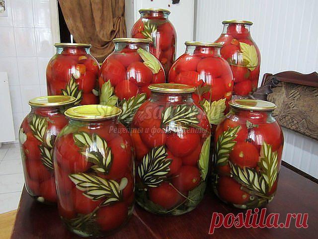 овощи на зиму. Лучшие рецепты