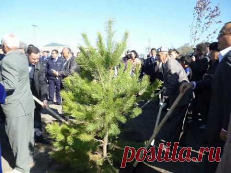 15 1 1 Агадырь