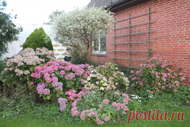 !! Neuer Preis !! Gepflegtes Einfamilienhaus in der Nähe von Heide Einfamilienhaus Gaushorn (28KGU4Q)