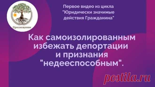 Как самоизолированным избежать депортации и признания 
