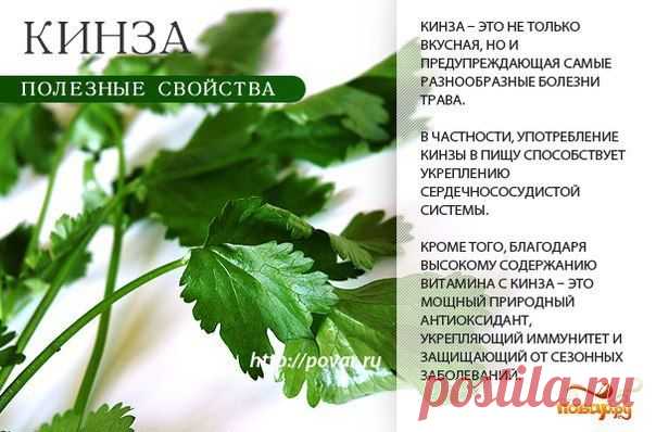 полезная трава