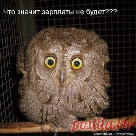 Здободневно...