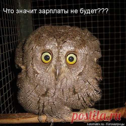 Здободневно...