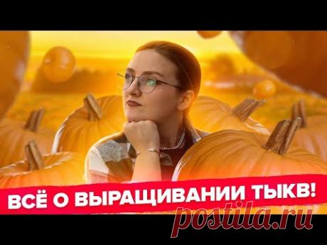ВСЕ О ВЫРАЩИВАНИИ ТЫКВЫ! Тыква которая хранится 7 лет!