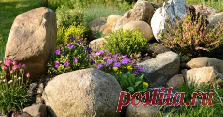 13 скальных растений, цветущих с весны и до осени Грамотно спроектированная каменистая клумба, имитирующая скалистый горный склон в Альпах, станет визитной карточкой вашего участка. Но чтобы она выглядела эстетично и нарядно весь сезон, нужно правильно подобрать для нее скальные растения.