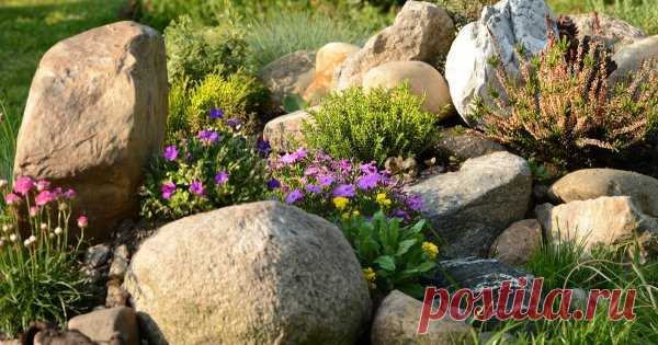 13 скальных растений, цветущих с весны и до осени Грамотно спроектированная каменистая клумба, имитирующая скалистый горный склон в Альпах, станет визитной карточкой вашего участка. Но чтобы она выглядела эстетично и нарядно весь сезон, нужно правильно подобрать для нее скальные растения.