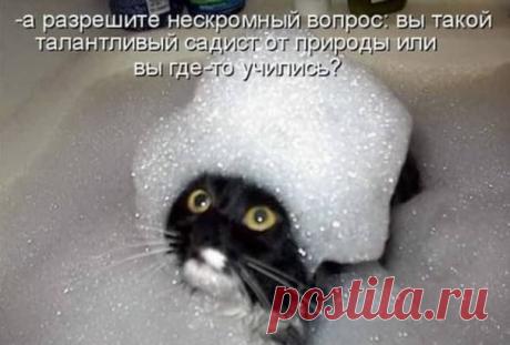 Мой Мир@Mail.Ru