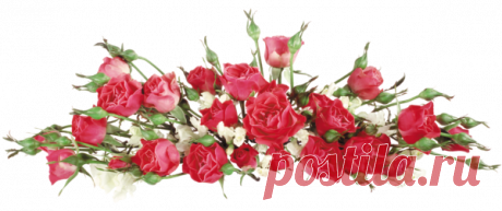 Дневник сыненок