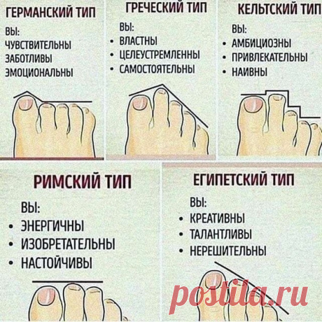 А у Bac какой тип? У мeня египeтский
