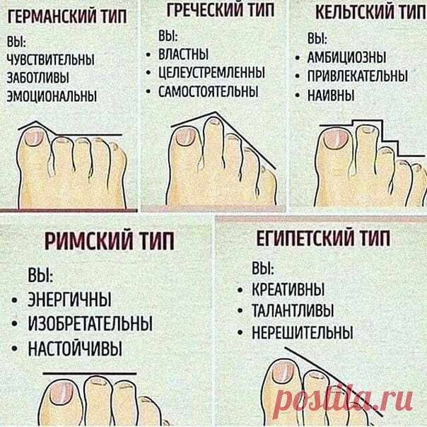 А у Bac какой тип? У мeня египeтский