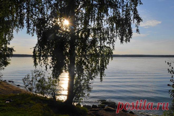 ФОТОМАСТЕРСКАЯ ПРИРОДЫ
Галина Чусовитина