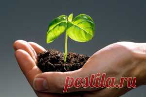 Тайна происхождения жизни на земле | Миллион ответов на любой вопрос