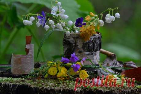 ***ВОЛШЕБСТВО И КРАСОТА НАТЮРМОРТОВ***