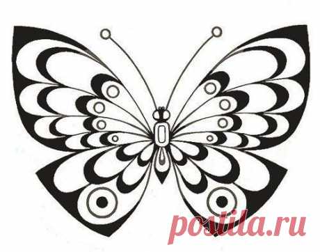 Трафареты бабочек.