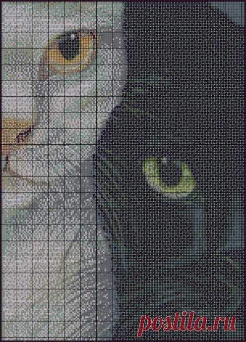 ​Две половинки: кошки