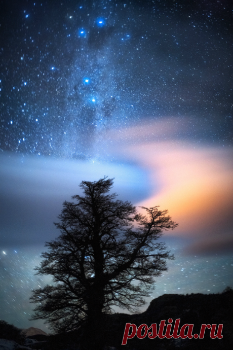 tulipnight.tumblr.com/post/135451025383/tulipnight-milky-way-by-ricardo-la-piettra