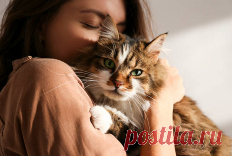 Правильные кошачьи имена или как назвать кошку | КотоВедение | Дзен