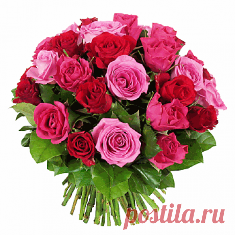 tulipanes de colores - Buscar con Google