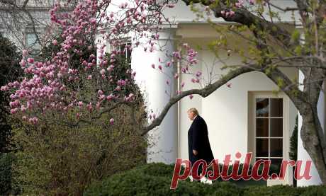 Сенат планирует взять показания у автора компромата на Трампа - «Life.ru» — информационный портал