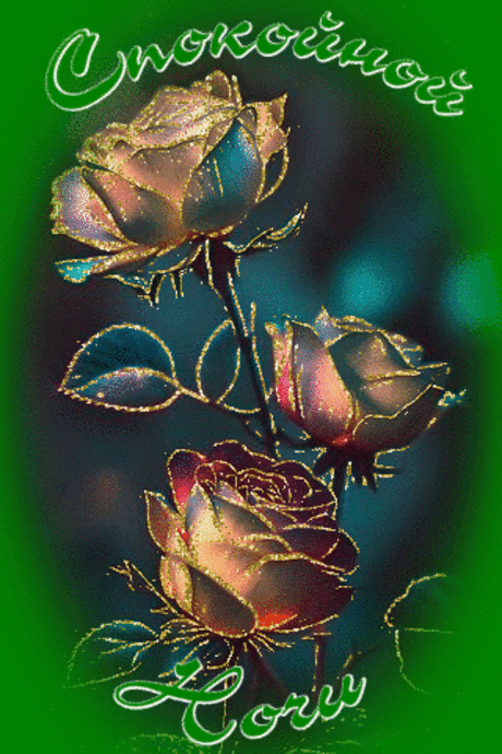 Спокойной  ночи