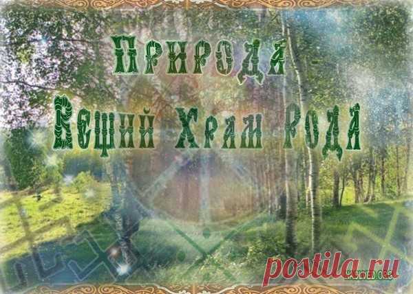 Мой Храм-Природа !!!Мой храм – Природа, рощи да дубравы,
А твой же – позлачённый божий дом,
Вокруг меня – цветущие поляны,
А ты же – в мрачном круге из икон.
Не гну спины – ведь Пращуры мне Боги,
А ты в поклонах заработал горб,
Я – внук Даждьбога, ты же – раб убогий,
Живёшь рабом, рабом и ляжешь в гроб!
Я прославляю Солнышко-Ярило,