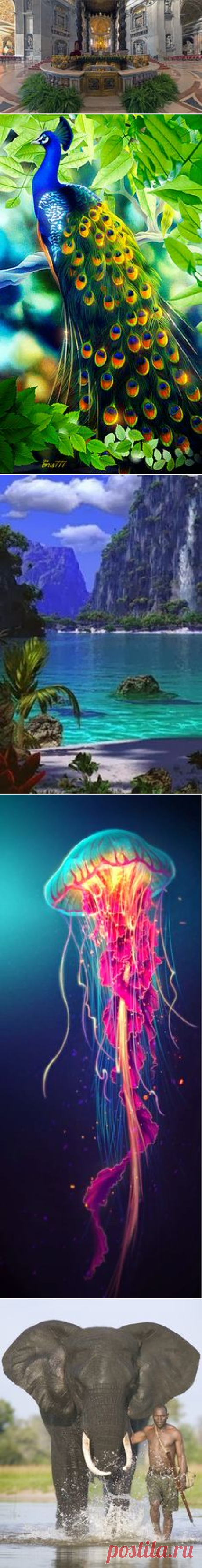 What a Wonderful World on Pinterest